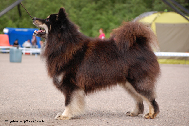 Osku
